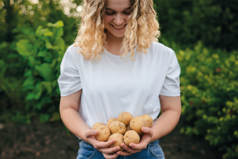 Nieuw! Echt aardappelzaad