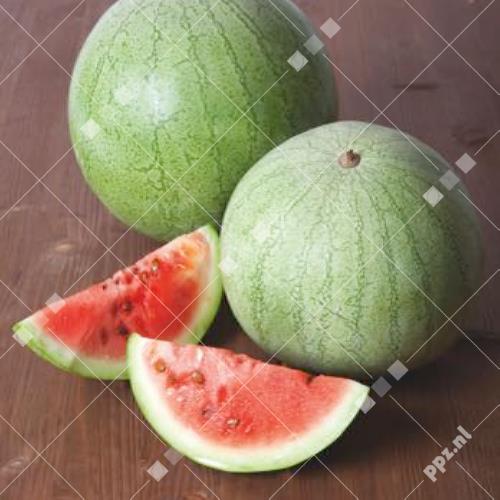 Citrullus lanatus - Watermeloen