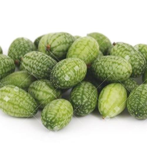 Melothria scabra - Muis meloen